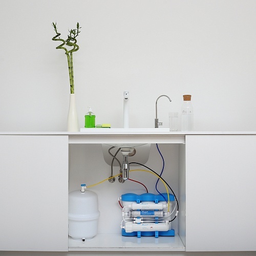 Ecosoft P’URE AquaCalcium reverse osmosis filter